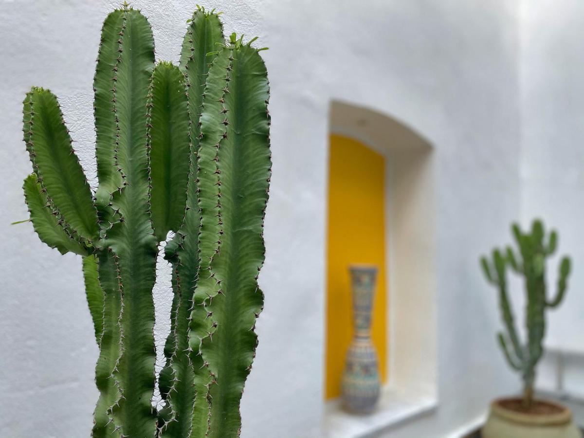 Dar El Kif - La Marsa Bed & Breakfast ภายนอก รูปภาพ